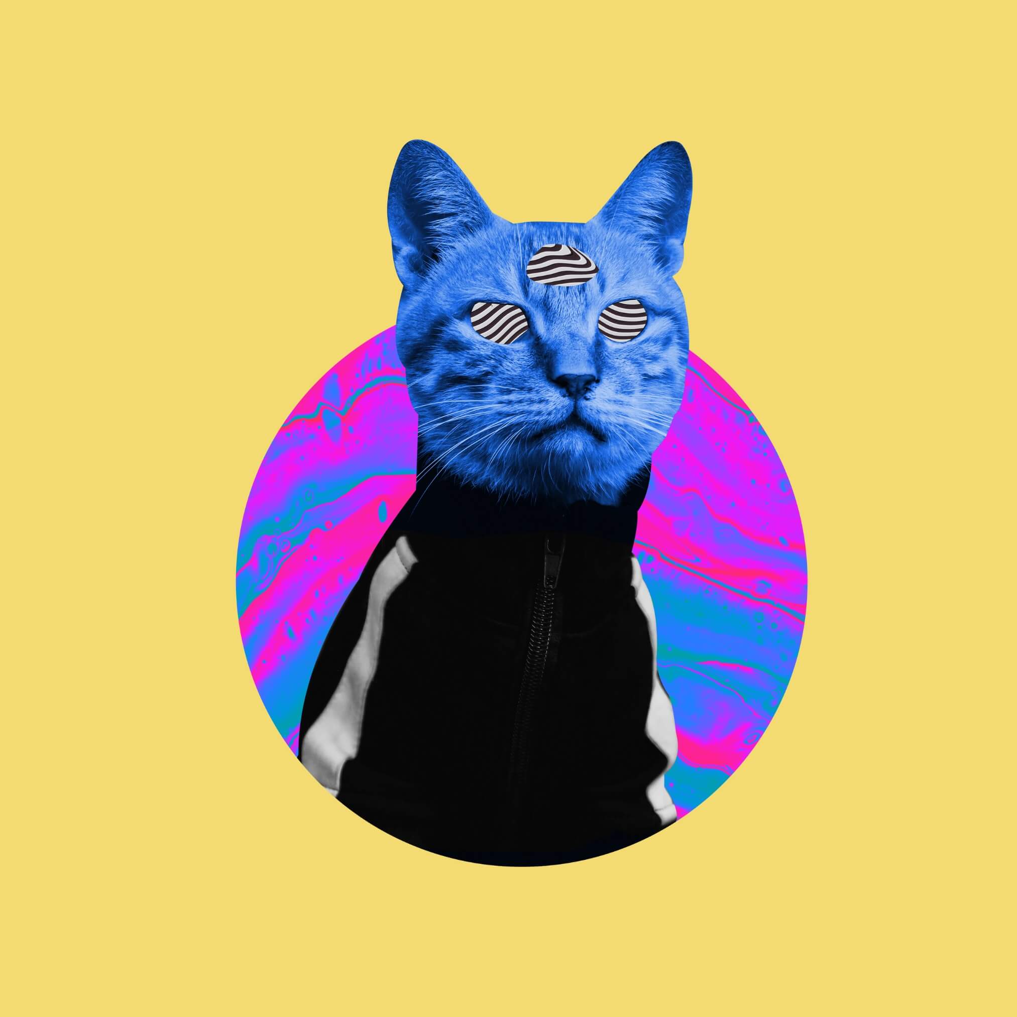 Trippy Tabby T-Shirt