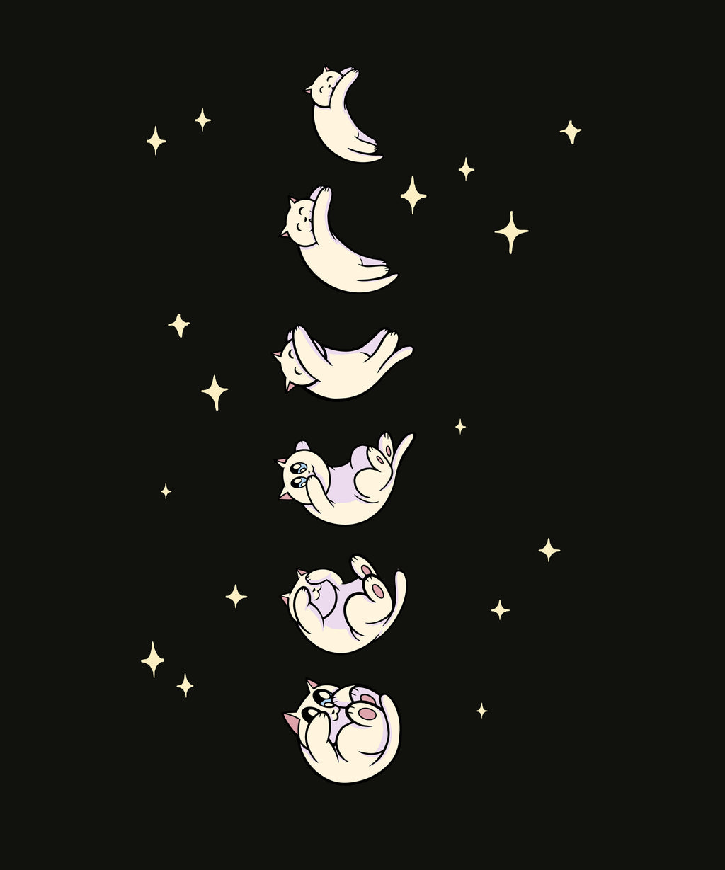 Cat Moon Phases T-Shirt