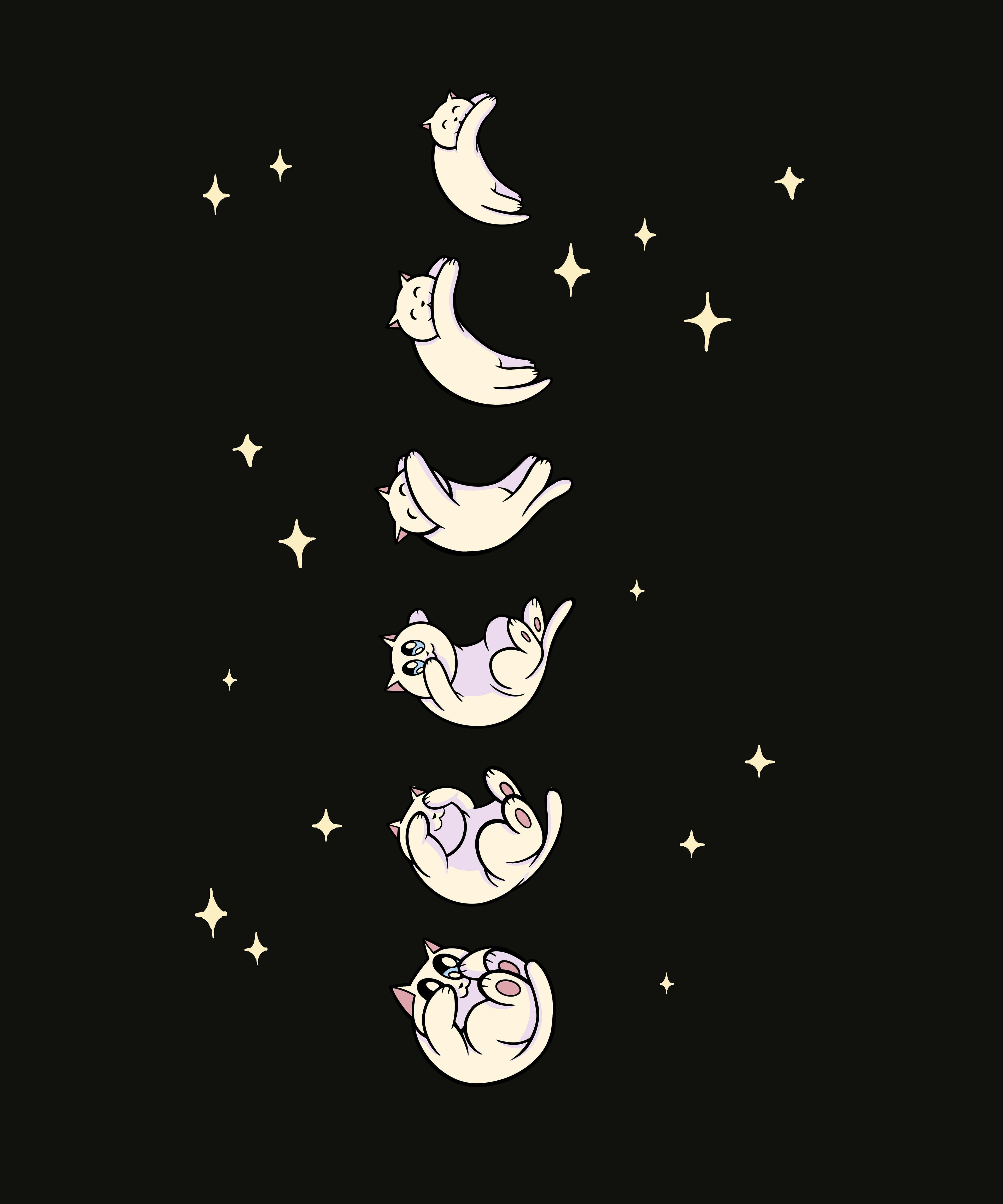 Cat Moon Phases T-Shirt