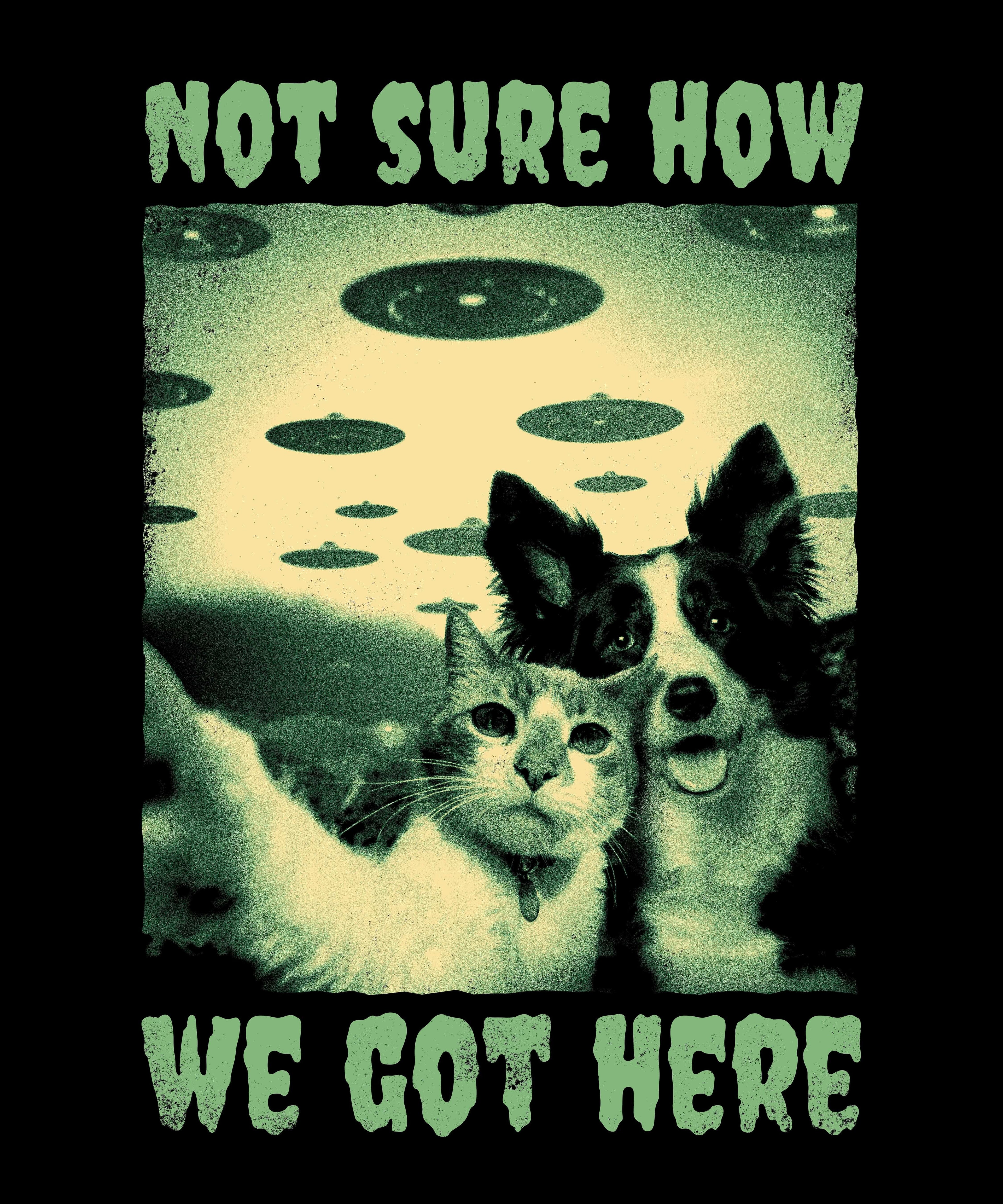 Not Sure How We Got Here T-Shirt