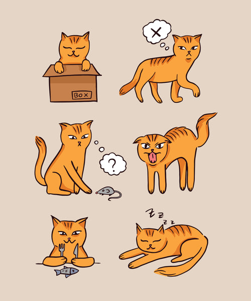 Cat Moods T-Shirt