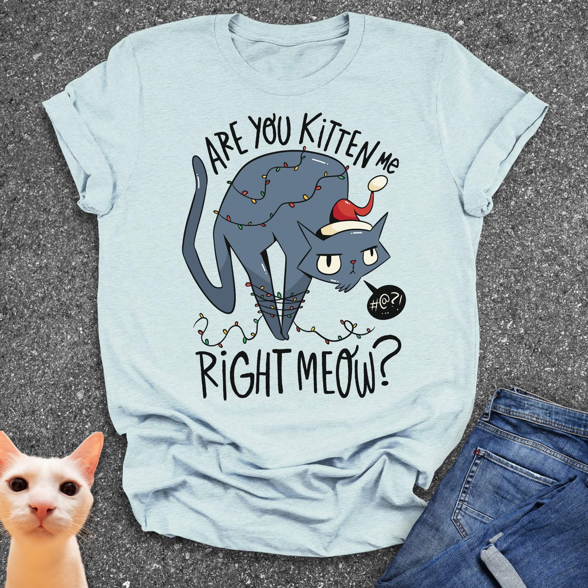 Are You Kitten Me Right Meow T-Shirt