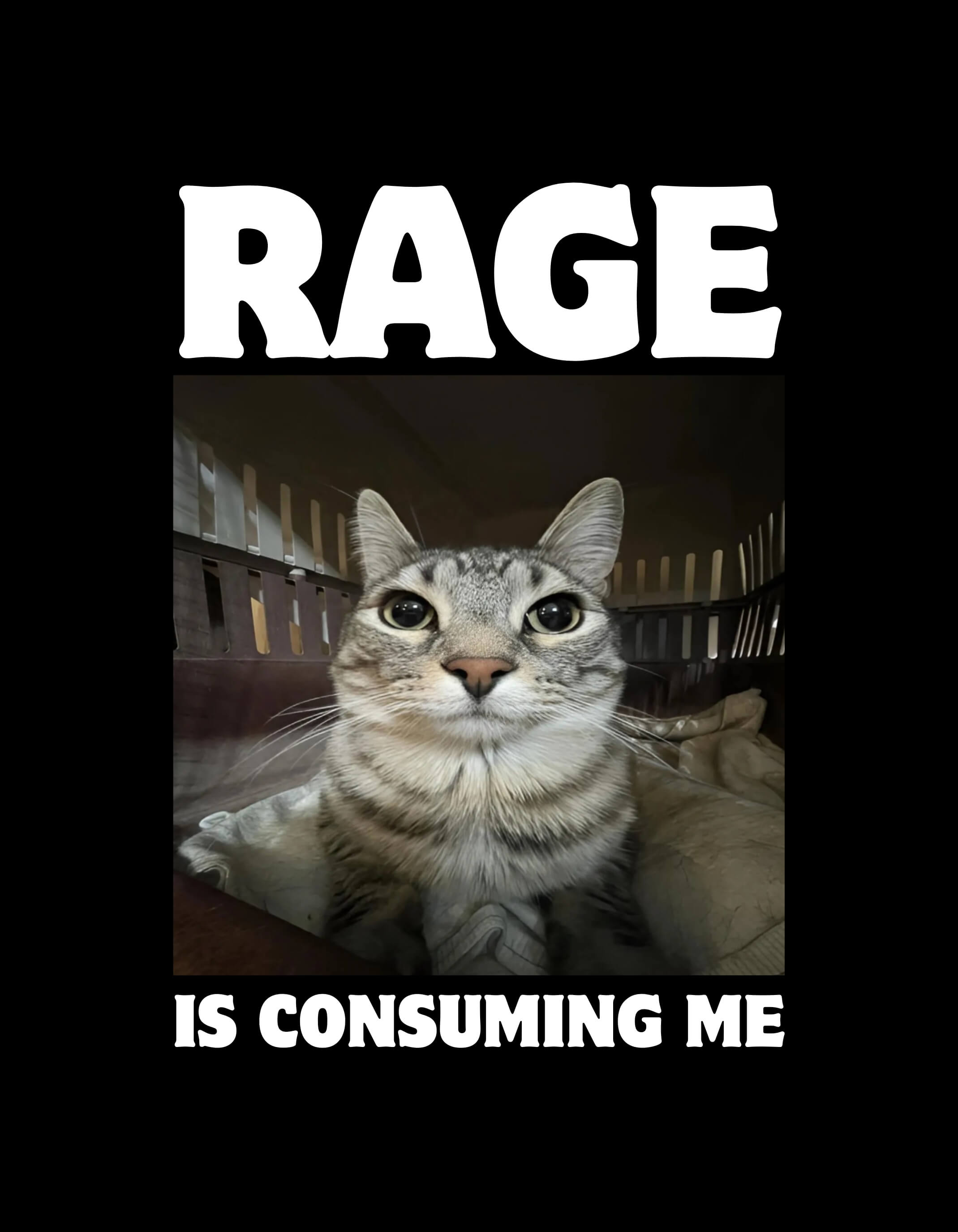 Rage Is Consuming Me T-Shirt